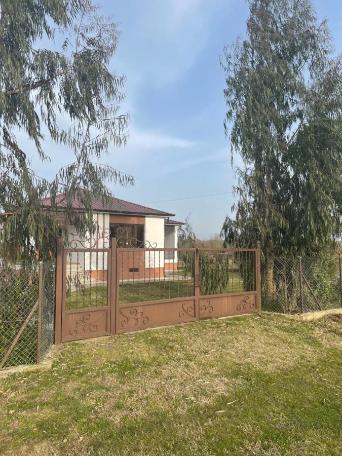 Apartment Comfort In Ureki Exterior foto